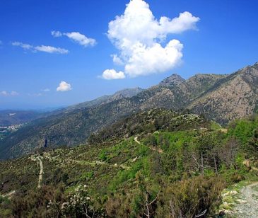 E' stato importante specificare con maggior forza che il divieto di estrazione mineraria nelle aree protette italiane, e in particolare nel parco del Beigua così ricco di titanio, è vietato