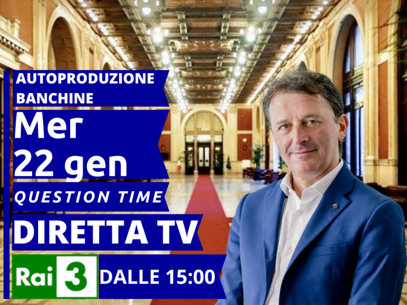 Mercoledì 21 gennaio, dalle ore 15, presenterò in Aula il question time inerente al fenomeno dell'autoproduzione nelle banchine portuali.